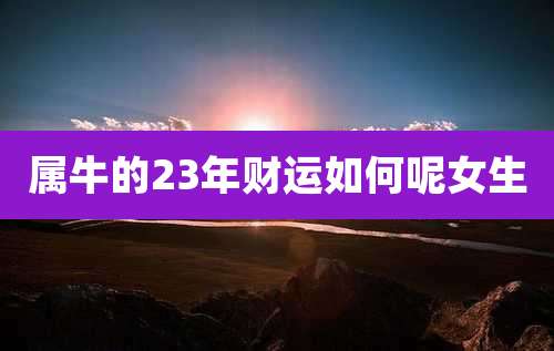 属牛的23年财运如何呢女生