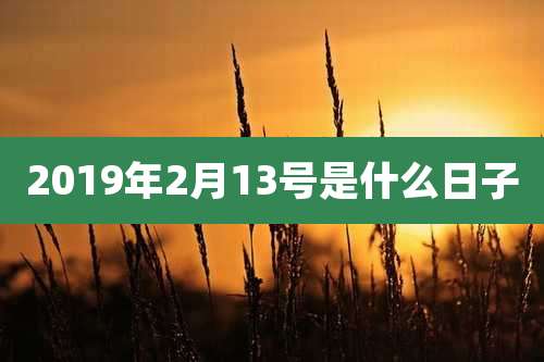 2019年2月13号是什么日子