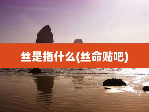 丝是指什么(丝命贴吧)