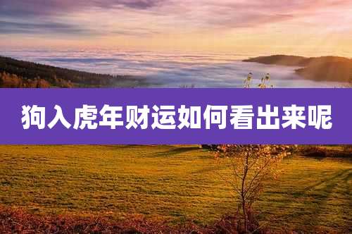狗入虎年财运如何看出来呢