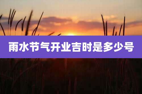 雨水节气开业吉时是多少号