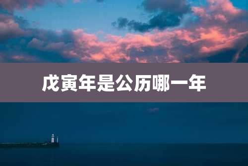 戊寅年是公历哪一年