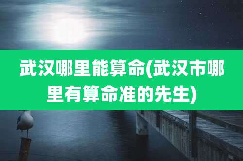 武汉哪里能算命(武汉市哪里有算命准的先生)