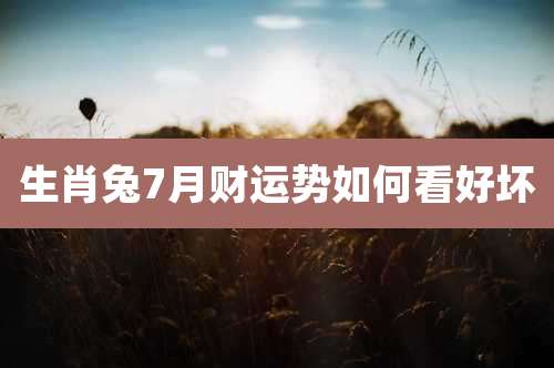 生肖兔7月财运势如何看好坏