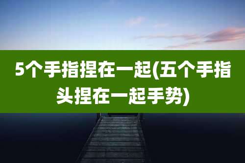 5个手指捏在一起(五个手指头捏在一起手势)