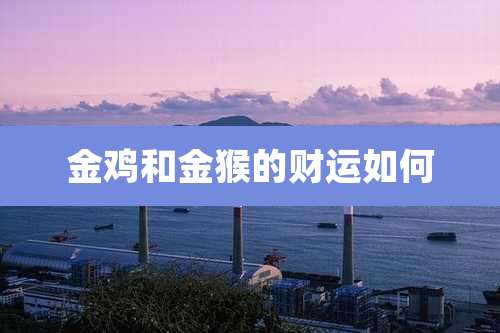 金鸡和金猴的财运如何
