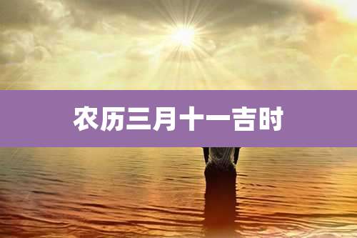 农历三月十一吉时