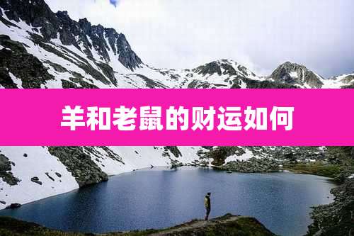 羊和老鼠的财运如何