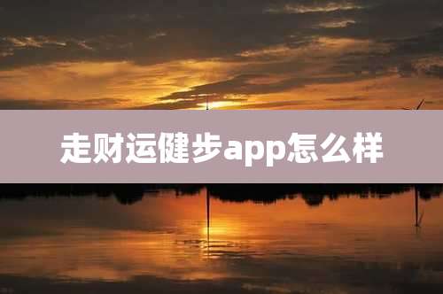 走财运健步app怎么样