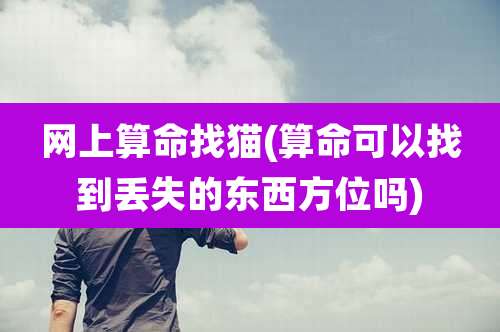 网上算命找猫(算命可以找到丢失的东西方位吗)