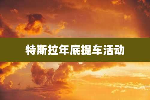 特斯拉年底提车活动