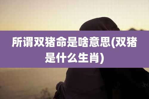 所谓双猪命是啥意思(双猪是什么生肖)