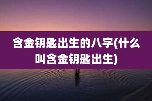 含金钥匙出生的八字(什么叫含金钥匙出生)