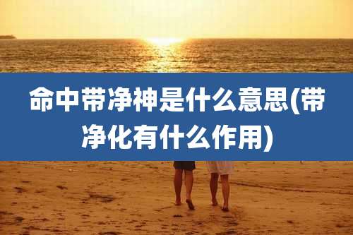 命中带净神是什么意思(带净化有什么作用)