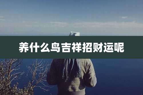 养什么鸟吉祥招财运呢