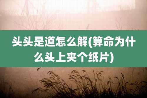 头头是道怎么解(算命为什么头上夹个纸片)