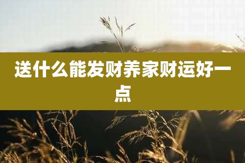 送什么能发财养家财运好一点