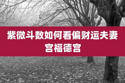 紫微斗数如何看偏财运夫妻宫福德宫