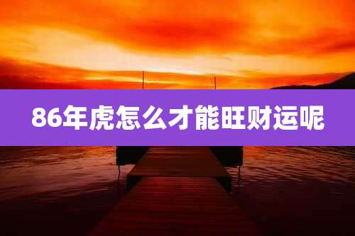 86年虎怎么才能旺财运呢