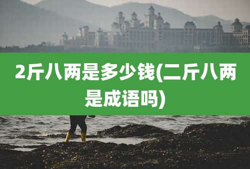 2斤八两是多少钱(二斤八两是成语吗)