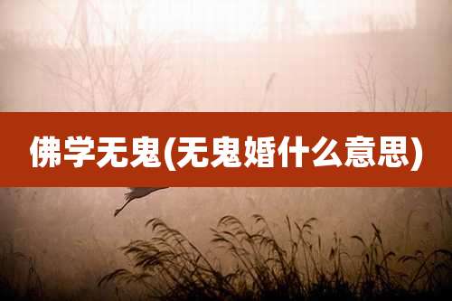 佛学无鬼(无鬼婚什么意思)