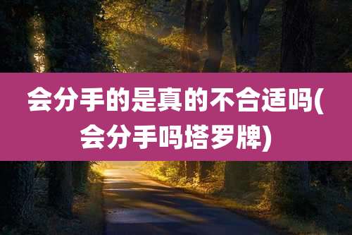 会分手的是真的不合适吗(会分手吗塔罗牌)
