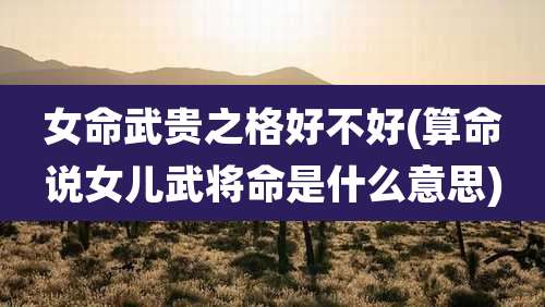 女命武贵之格好不好(算命说女儿武将命是什么意思)