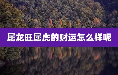 属龙旺属虎的财运怎么样呢