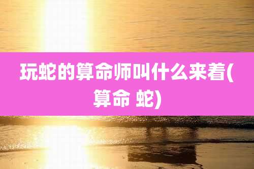 玩蛇的算命师叫什么来着(算命 蛇)