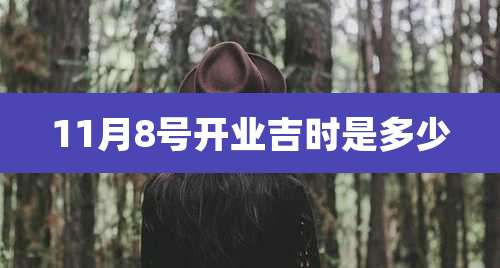 11月8号开业吉时是多少