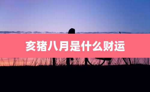 亥猪八月是什么财运