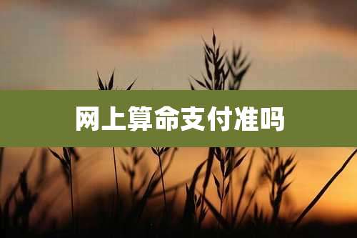 网上算命支付准吗