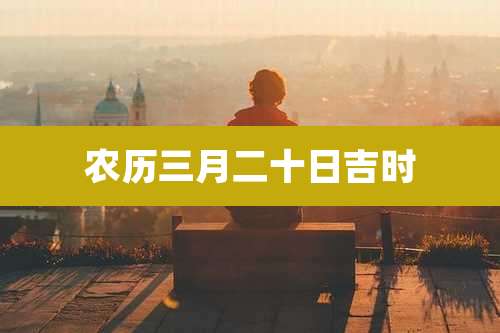 农历三月二十日吉时