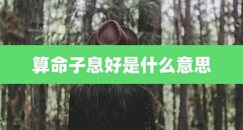 算命子息好是什么意思