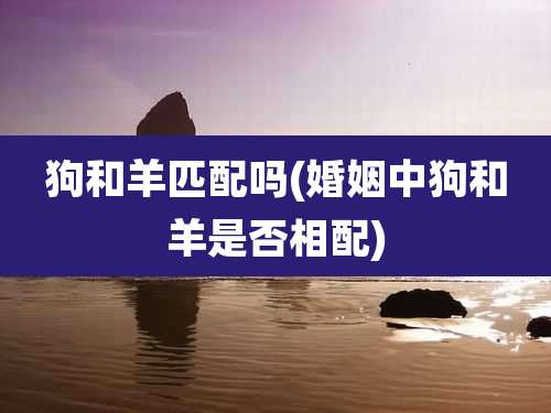 狗和羊匹配吗(婚姻中狗和羊是否相配)