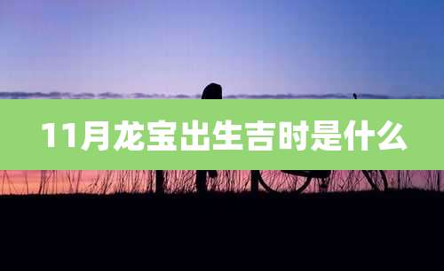 11月龙宝出生吉时是什么