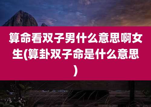 算命看双子男什么意思啊女生(算卦双子命是什么意思)