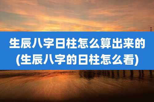 生辰八字日柱怎么算出来的(生辰八字的日柱怎么看)
