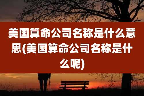 美国算命公司名称是什么意思(美国算命公司名称是什么呢)