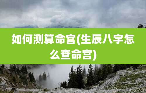 如何测算命宫(生辰八字怎么查命宫)