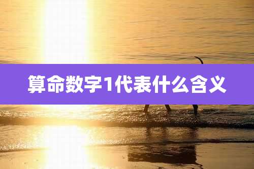 算命数字1代表什么含义
