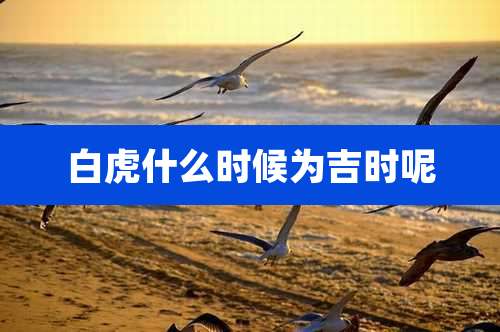 白虎什么时候为吉时呢