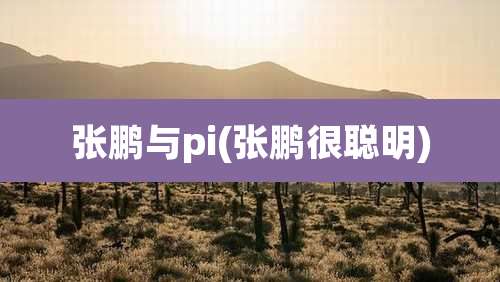 张鹏与pi(张鹏很聪明)