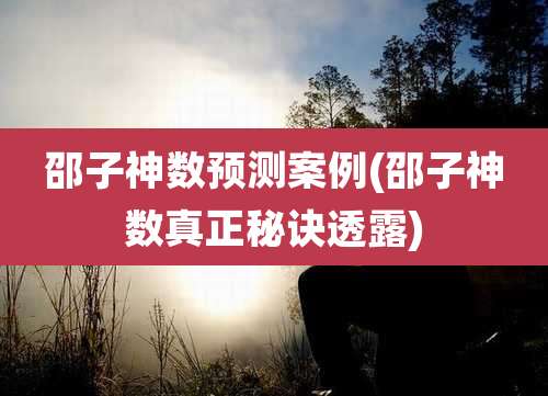 邵子神数预测案例(邵子神数真正秘诀透露)