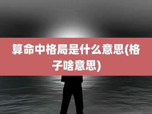 算命中格局是什么意思(格子啥意思)