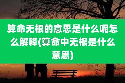 算命无根的意思是什么呢怎么解释(算命中无根是什么意思)