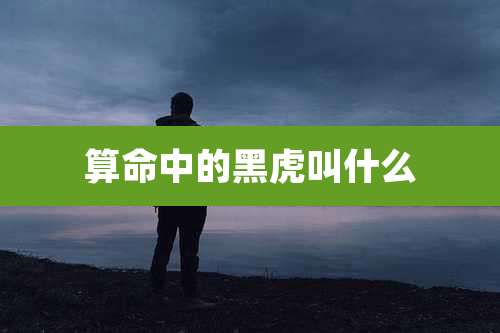 算命中的黑虎叫什么