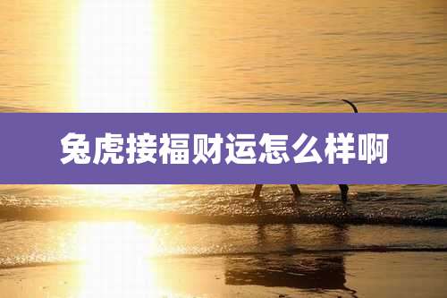 兔虎接福财运怎么样啊
