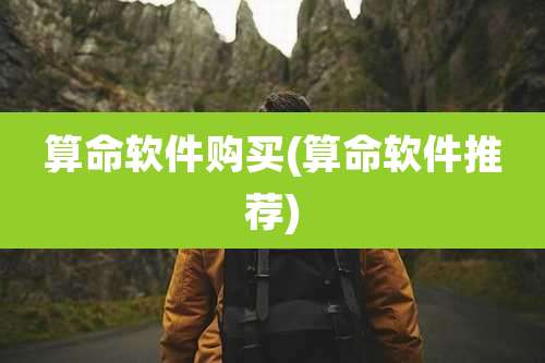 算命软件购买(算命软件推荐)