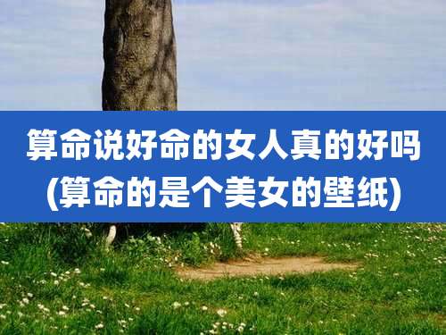 算命说好命的女人真的好吗(算命的是个美女的壁纸)